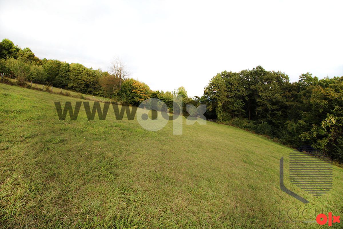 LOCUS: Parcela površine 6.650m2, Gora-Semizovac, Vogošća 7