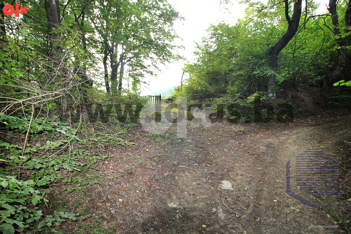 LOCUS: Parcela površine 6.650m2, Gora-Semizovac, Vogošća 11