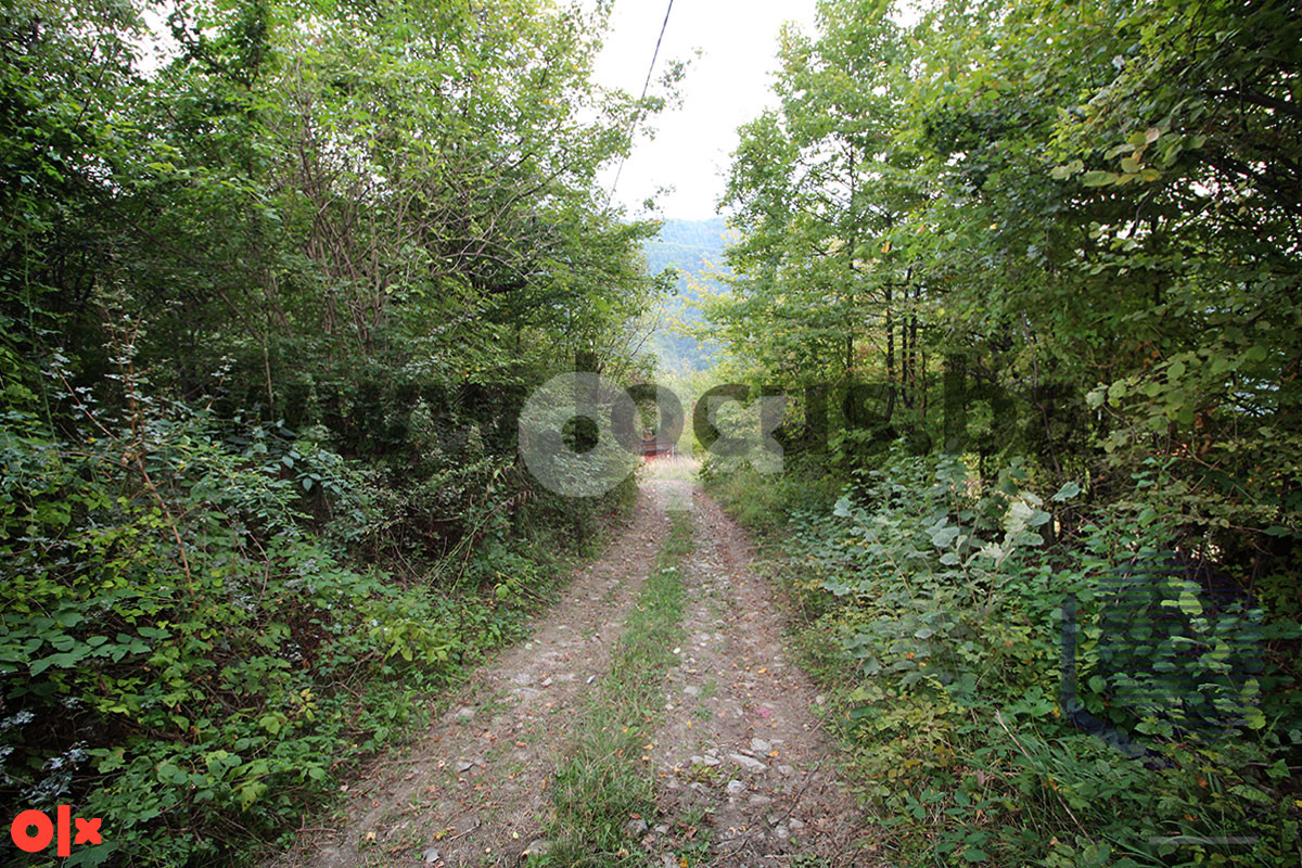 LOCUS: Parcela površine 6.650m2, Gora-Semizovac, Vogošća 12