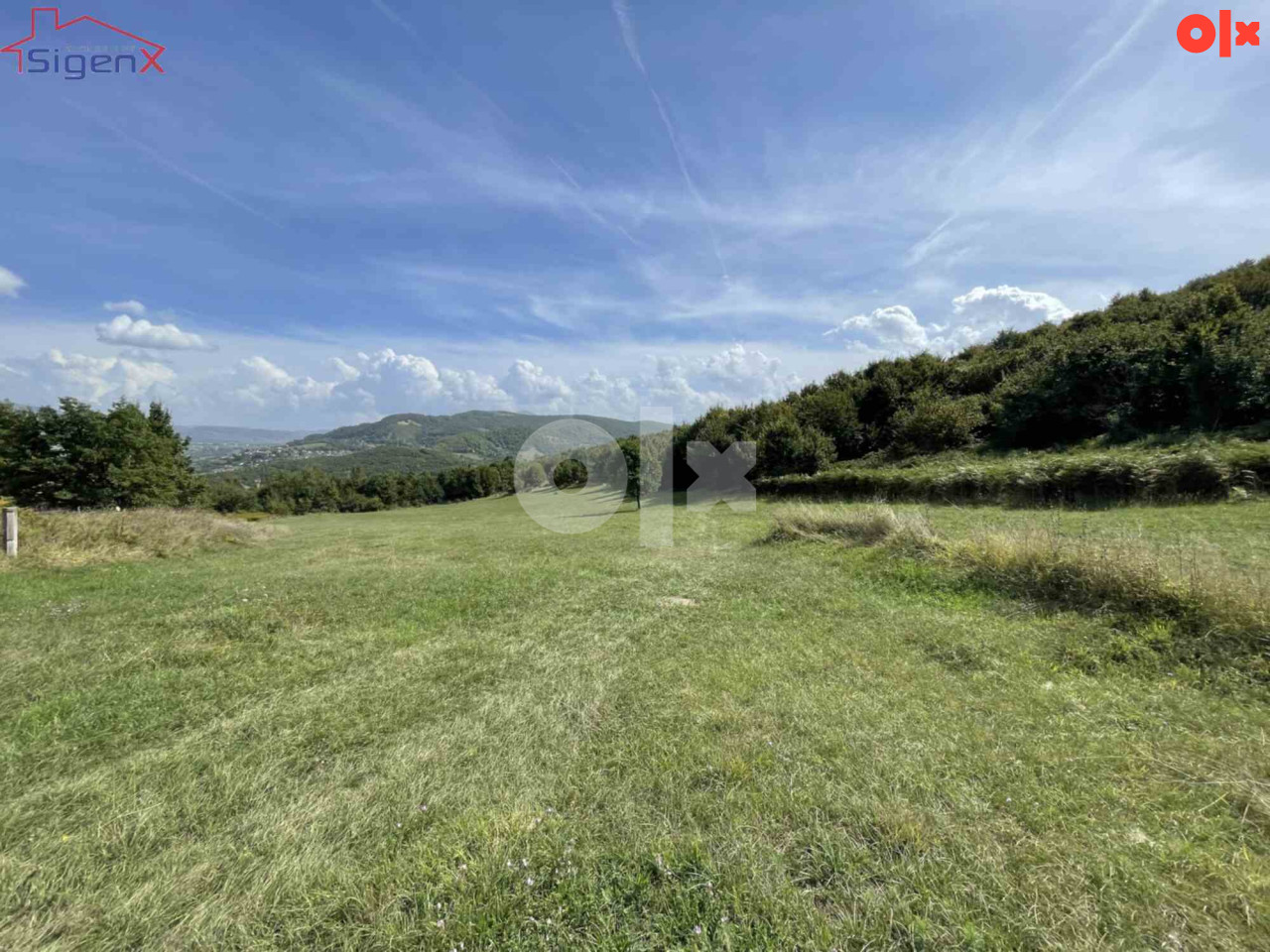 Zemljište/ Vogošća /15.840 m2/ Krivoglavci 3