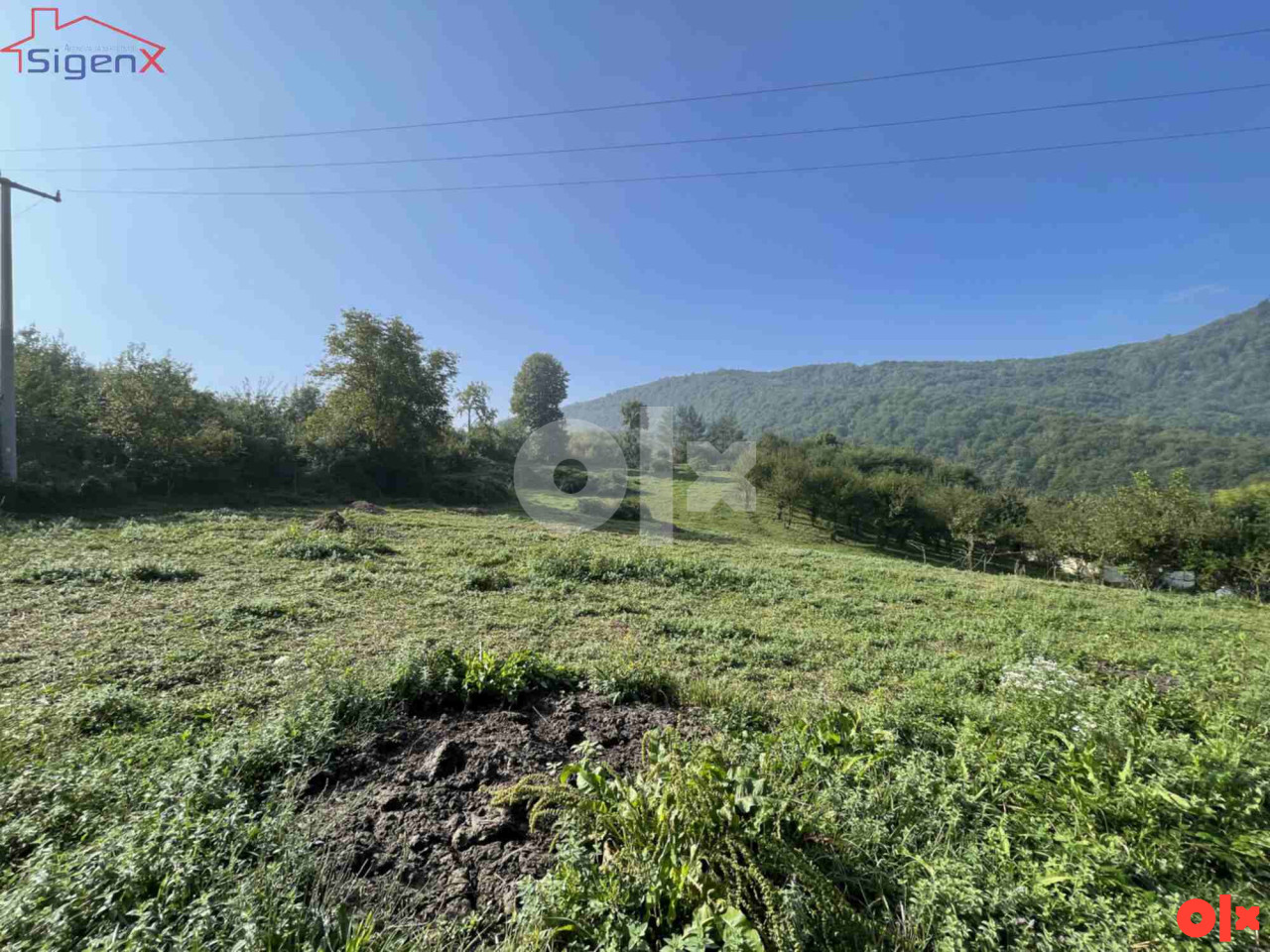 SIGENX prodaje kuća/ Donja Bioča/ Ilijaš 9453 m2 7