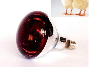 SIJALICA ZA PILICE 150W 250W SIJALICA GRIJALICA Akcija