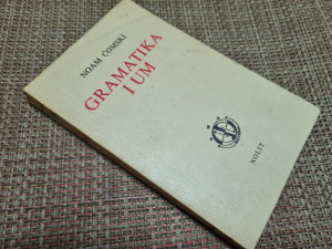 Gramatika i um - Noam Čomski