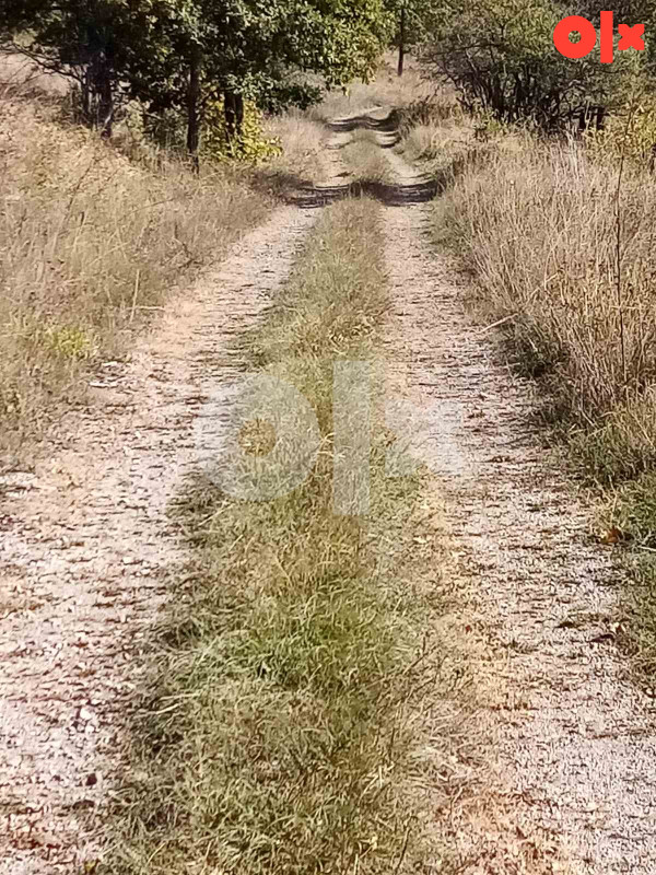 Prodaja/zamjena/zemljišta Bosanski Petrovac 139.300 m2 2