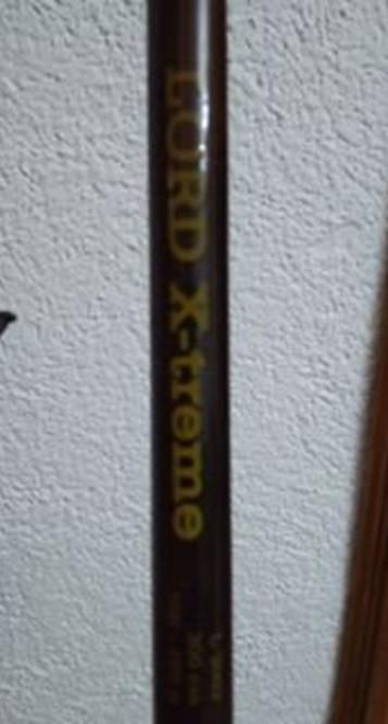 Byron Lord X-Treme 300 cm 150-280 g štap za teške grablljivice