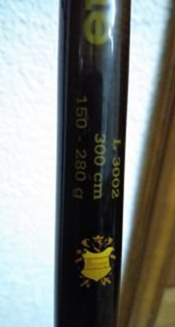 Byron Lord X-Treme 300 cm 150-280 g štap za teške grablljivice