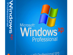 Windows XP Professional 32/64 bit