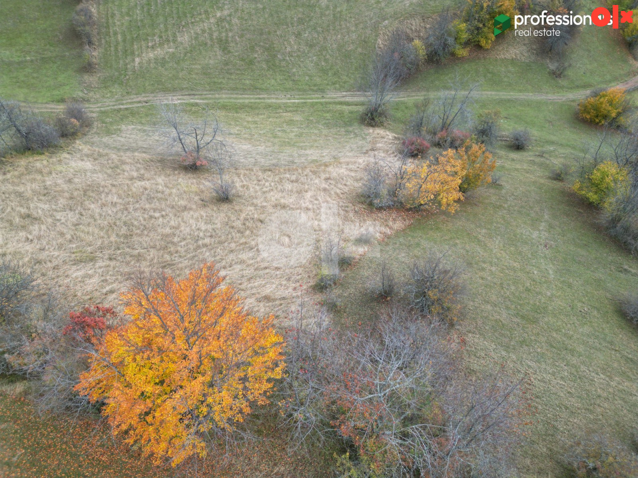 Zemljište Vukasovići Ilijaš 1660m2 5