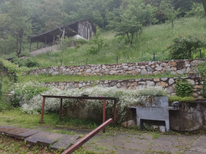 Prodajem kuću sa okućnicom i pratećim objektima: photo 4