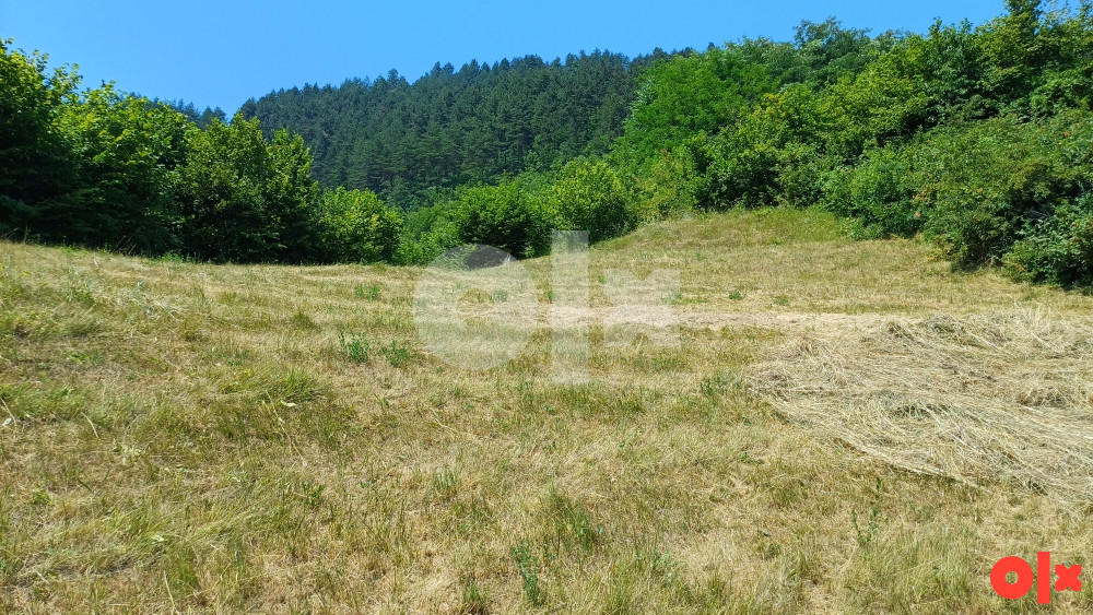 Jedinstvena prilika!Zemljište na atraktivnoj lokaciji - Zmajevac 12