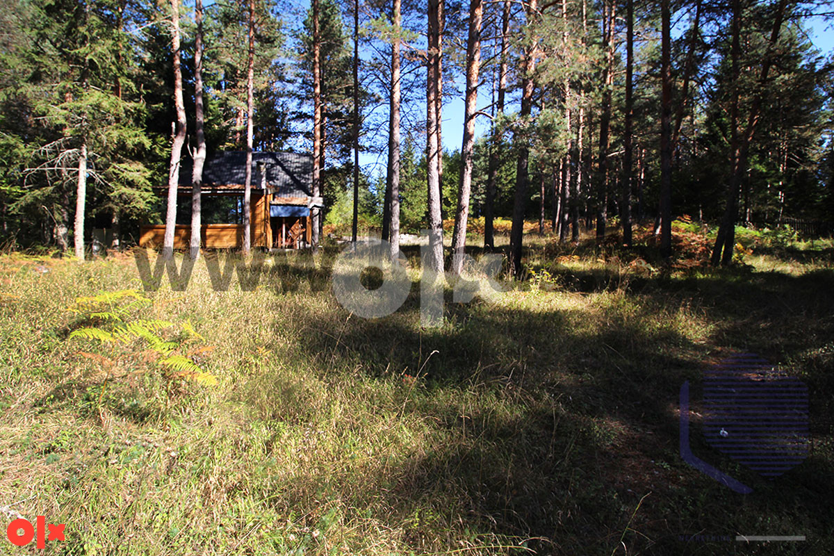 Zemljište Olovo 13000m2 3