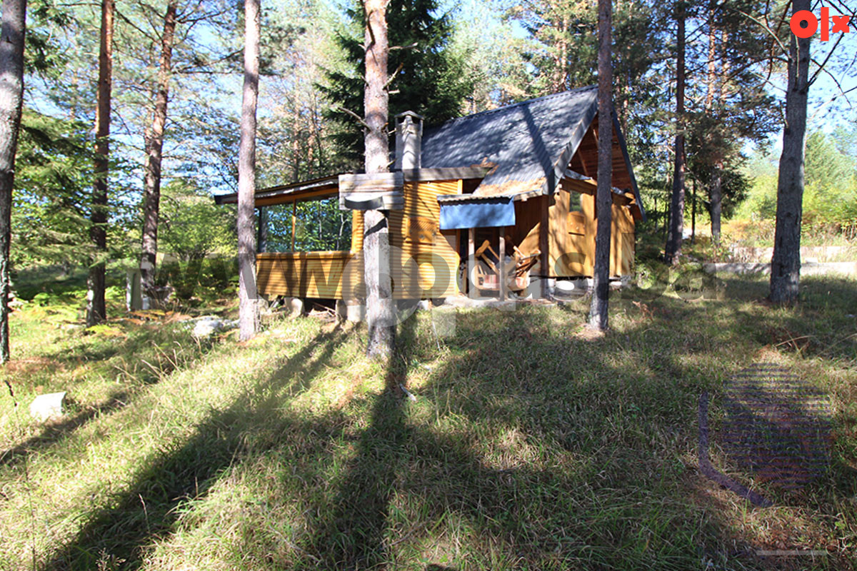 Zemljište Olovo 13000m2 4