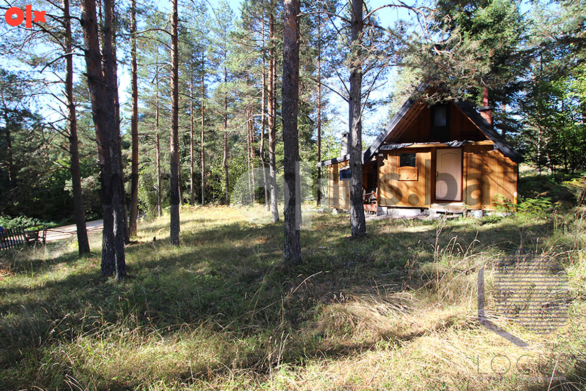 Zemljište Olovo 13000m2 5