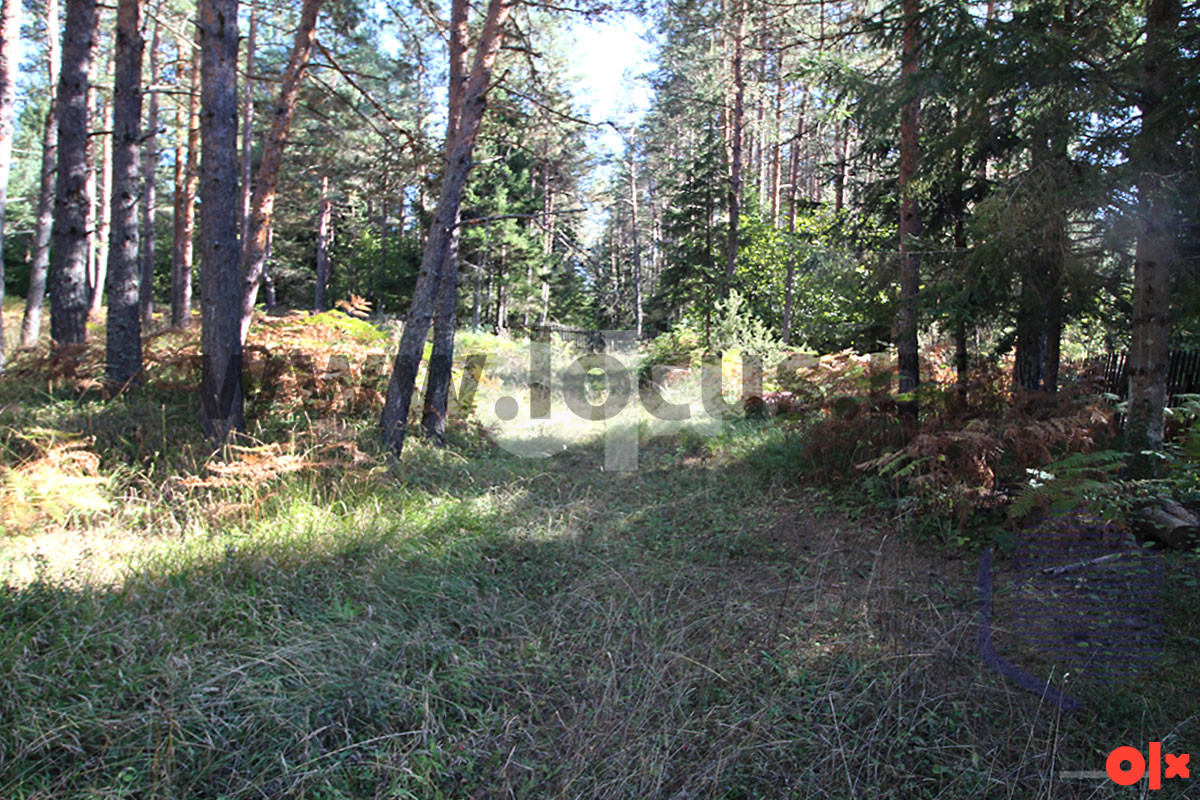 Zemljište Olovo 13000m2 6