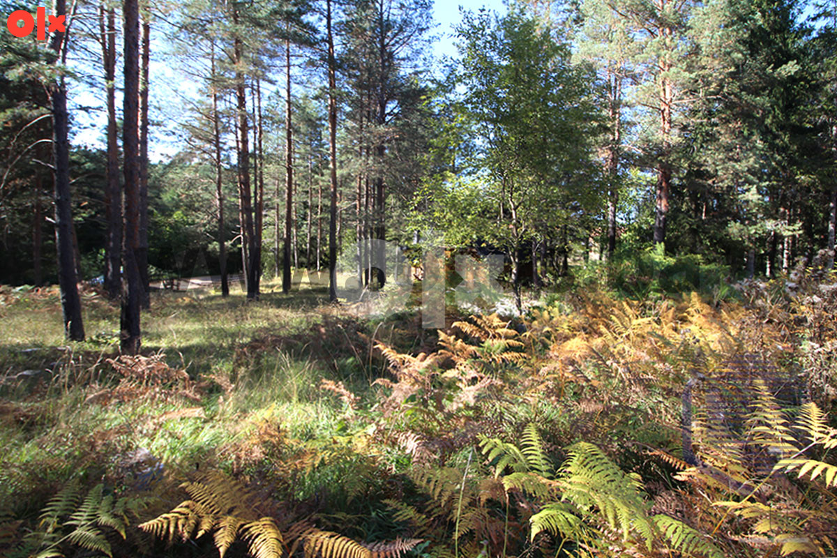 Zemljište Olovo 13000m2 7