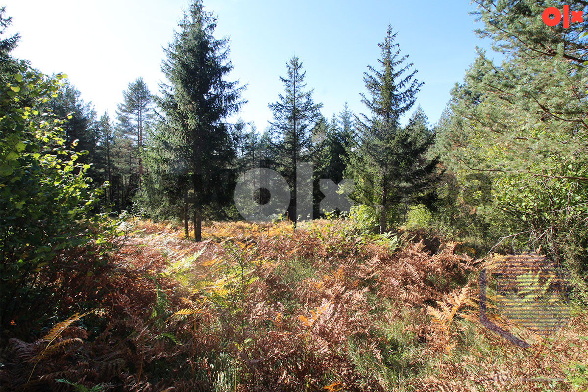 Zemljište Olovo 13000m2 9