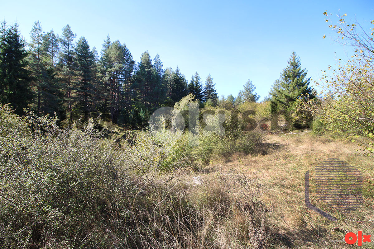 Zemljište Olovo 13000m2 10