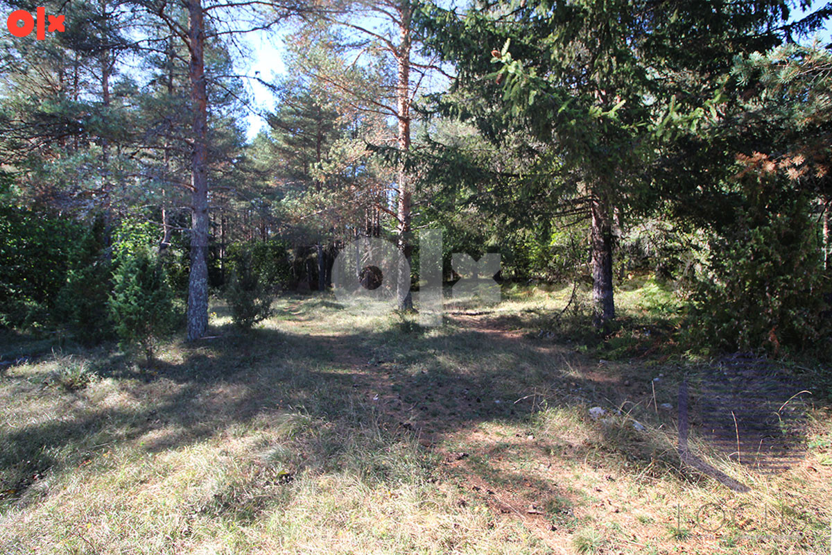 Zemljište Olovo 13000m2 11
