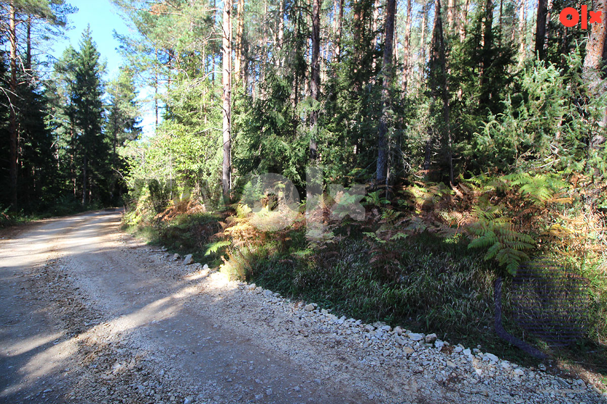 Zemljište Olovo 13000m2 12