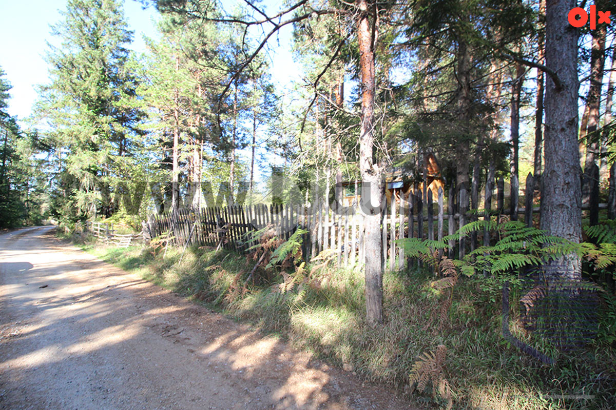 Zemljište Olovo 13000m2 13