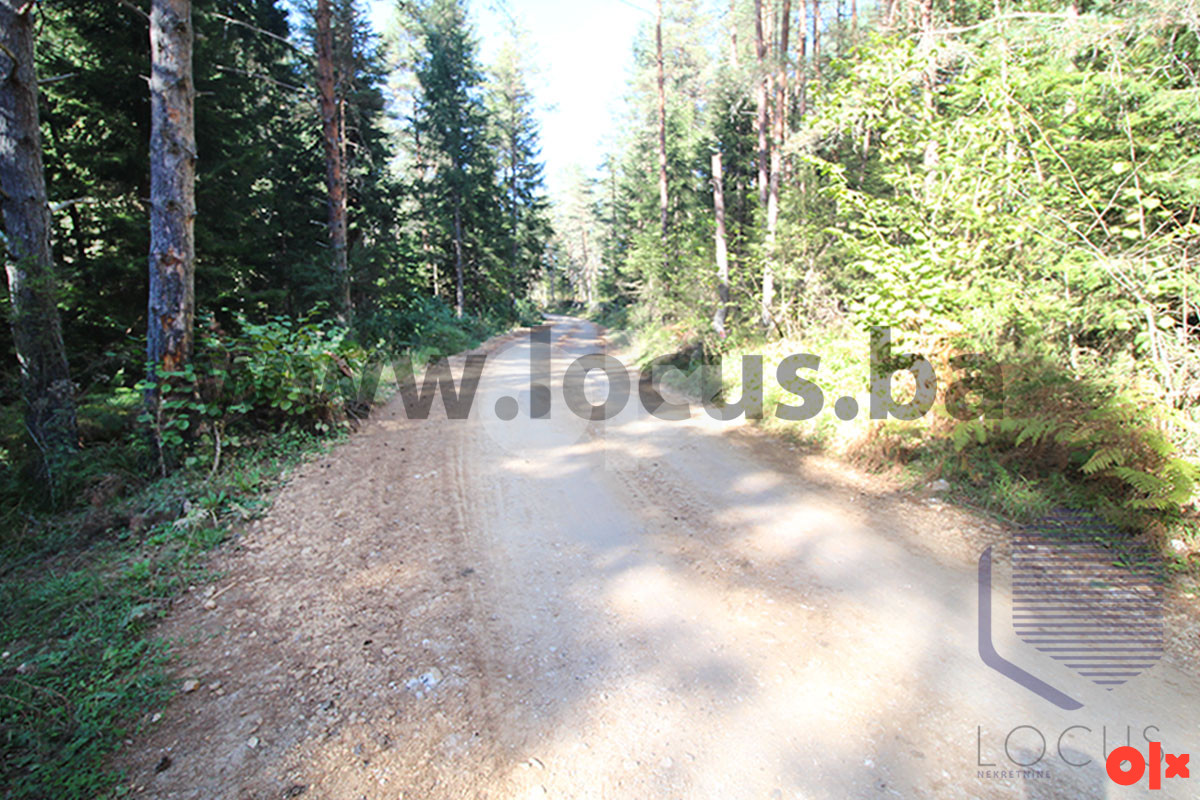 Zemljište Olovo 13000m2 14