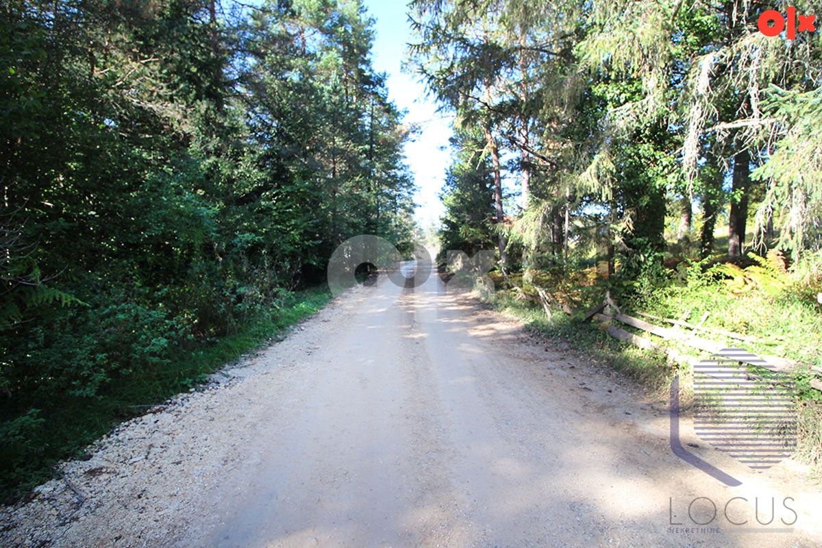 Zemljište Olovo 13000m2 15