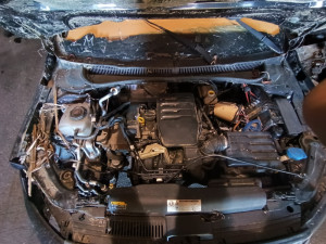 VW Polo 2019 1.0MPI DFN-Motor, mjenjač (Lotus)