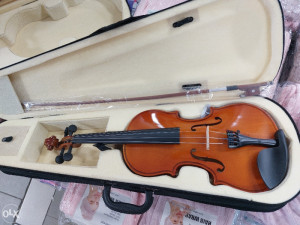 Violina 4/4