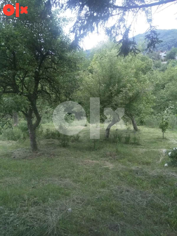 Zemljište Miševići-Hadžići , Orah br.22