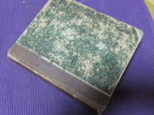 PARALLEL WORTERBUCHER