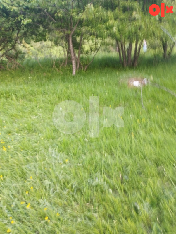 Zemljište Dujmovici Trnovo