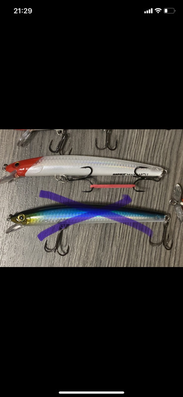 Rapala Megabass Calipso(Sportex Shimano Daiwa)