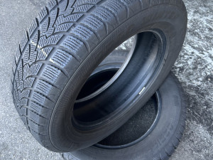 215 65 r 17 Platin 215/65 r17