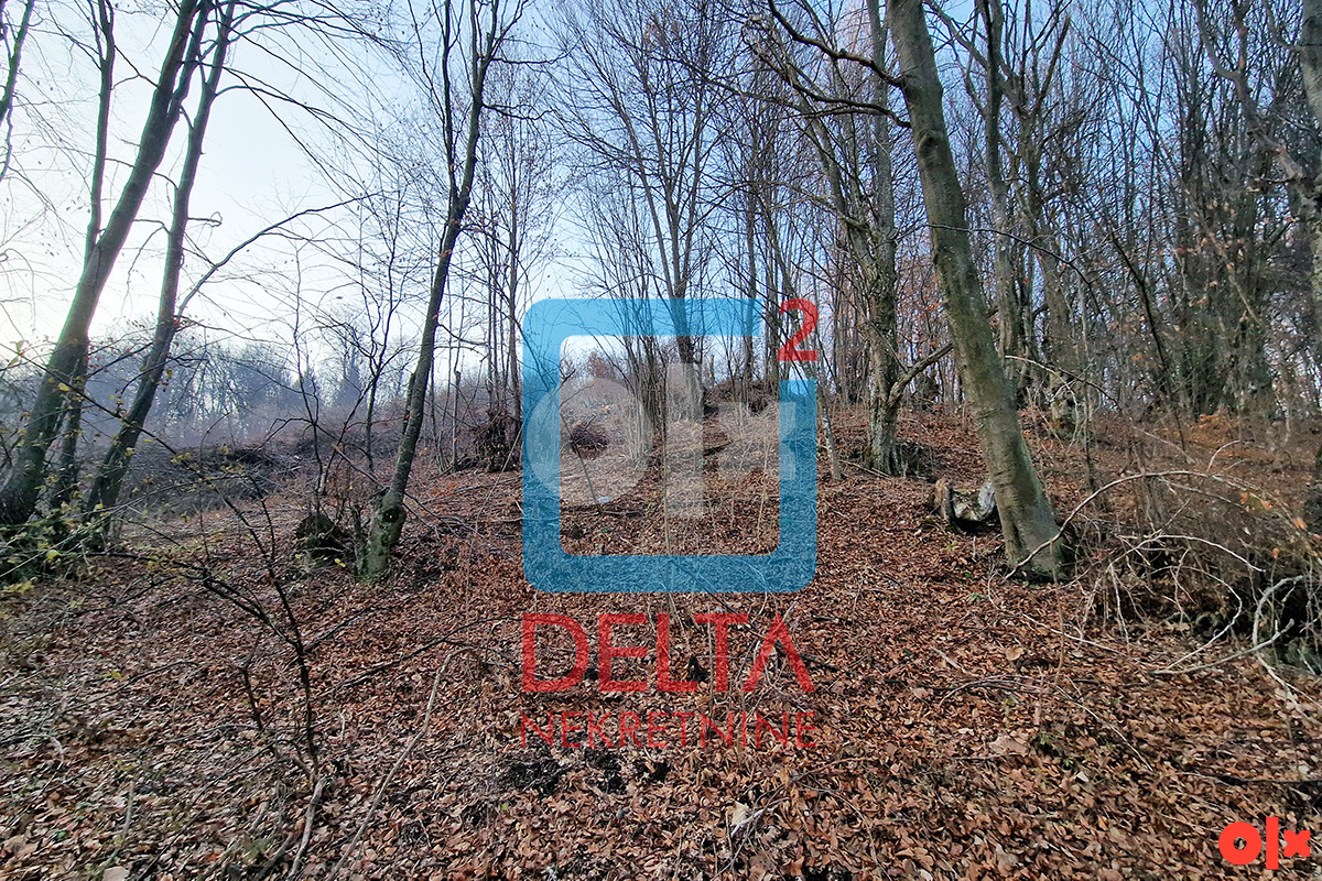 Zemljište / parcela / 26.000m2 / Rakovica / Ilidža 6
