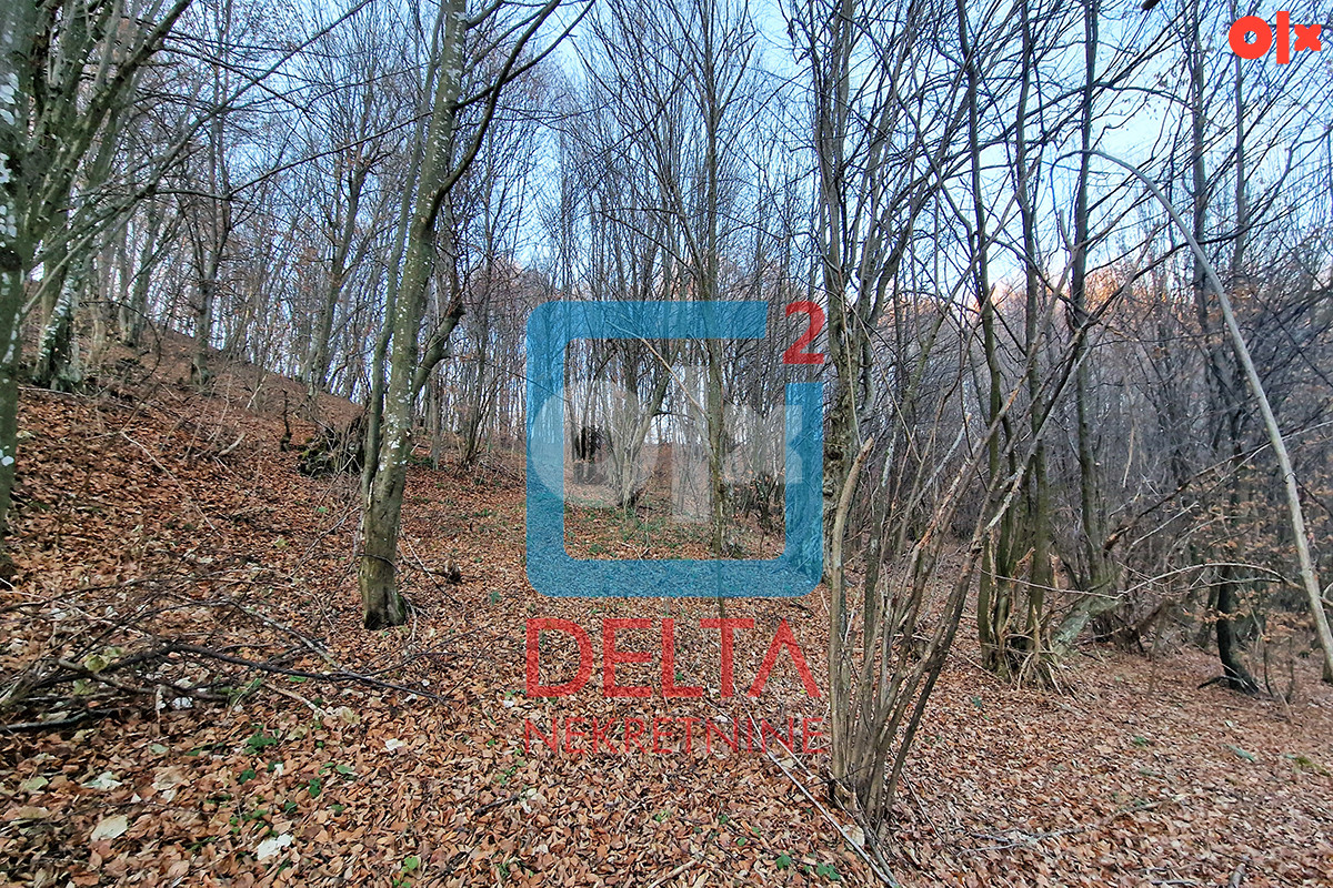 Zemljište / parcela / 26.000m2 / Rakovica / Ilidža 7