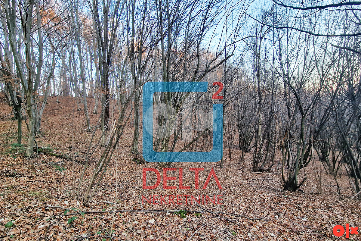 Zemljište / parcela / 26.000m2 / Rakovica / Ilidža 8