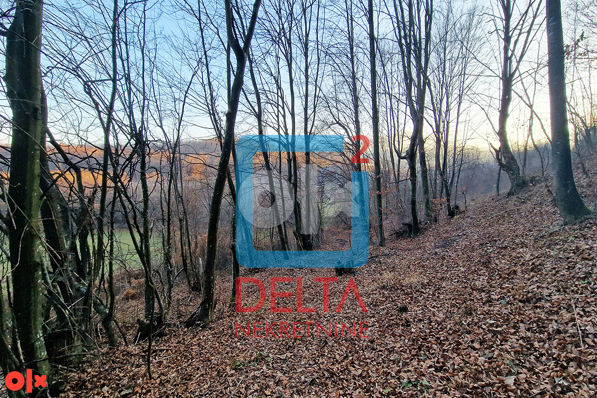 Zemljište / parcela / 26.000m2 / Rakovica / Ilidža 9