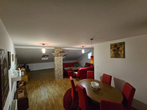 Stan Srebrenik photo 5