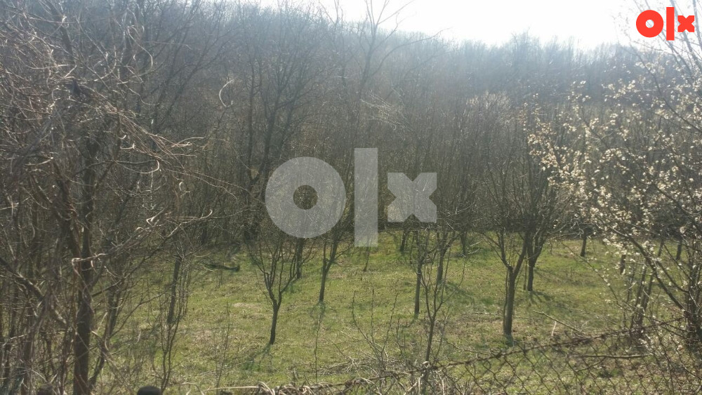 RADOSAVSKA OPŠTINA BANJA LUKA 4