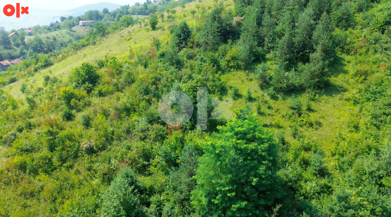 Zemljište, Gornji Brist, Zenica, P=6705m2 3