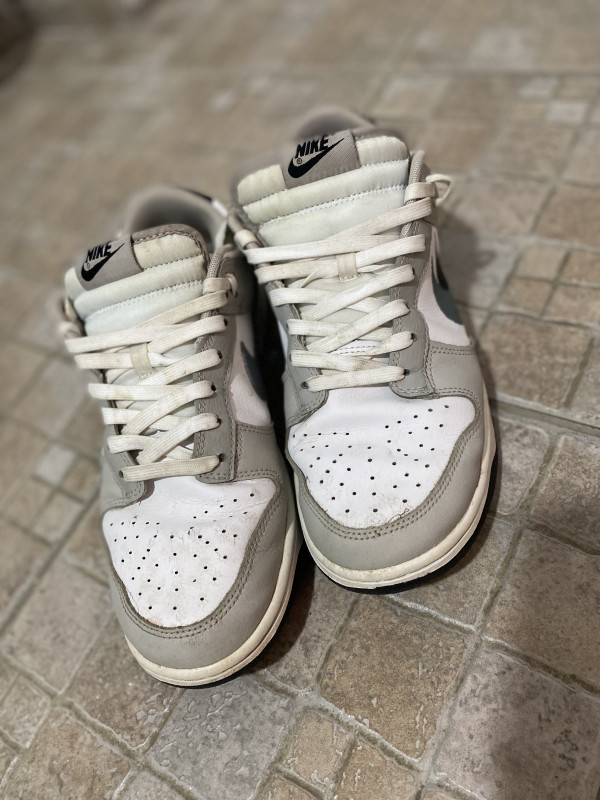 Nike dunk low double swoosh