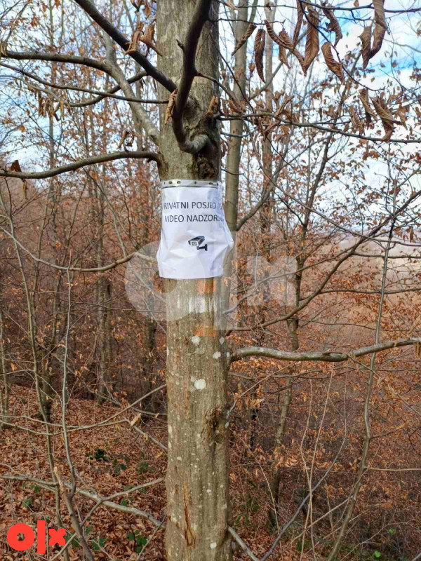 Šuma/ Zemljište Srbac 183.70 duluma 5