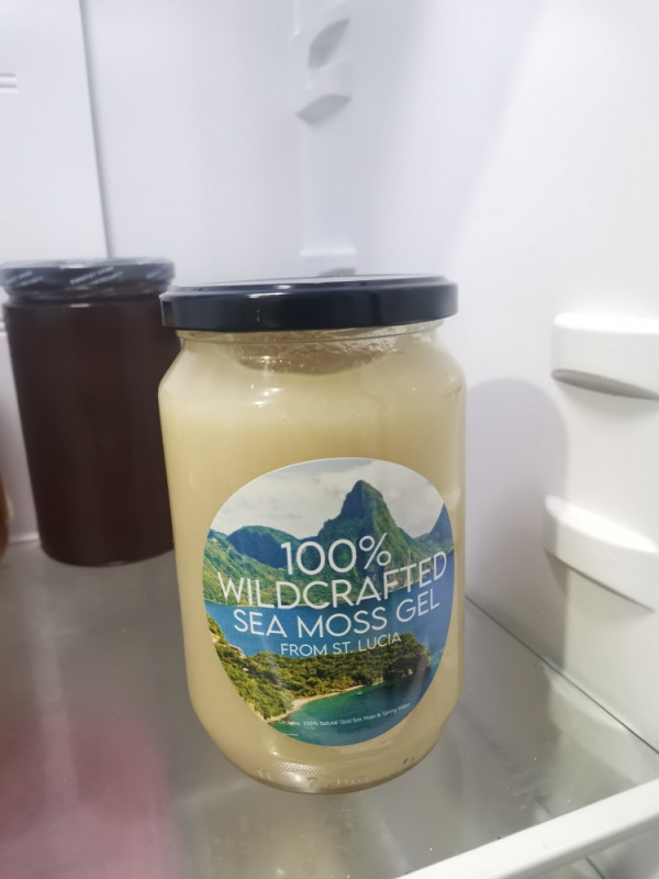 GOLD SEA MOSS GEL 1kg MORSKA MAHOVINA 92/102 Vitamina i Minerala