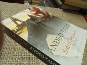 Anđeo tame - Sidni Šeldon
