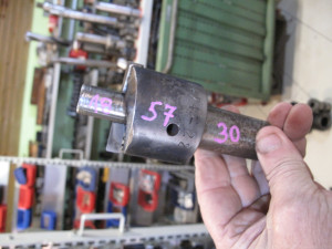 GLODALO  SA VIDIJOM  57  POGLEDAJ SLIKE