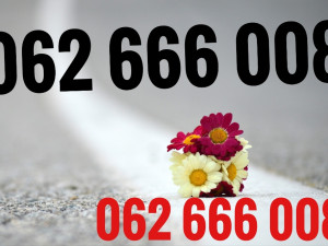 Ultra broj 062 666 008