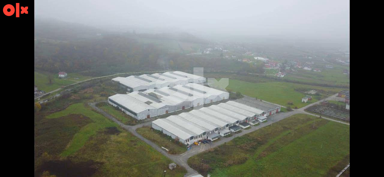 Poslovni prostor  12.000m2