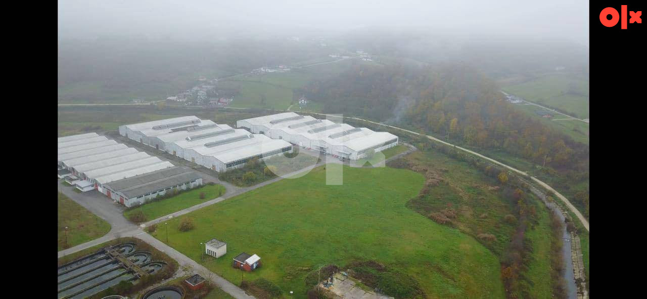 Poslovni prostor  12.000m2 4