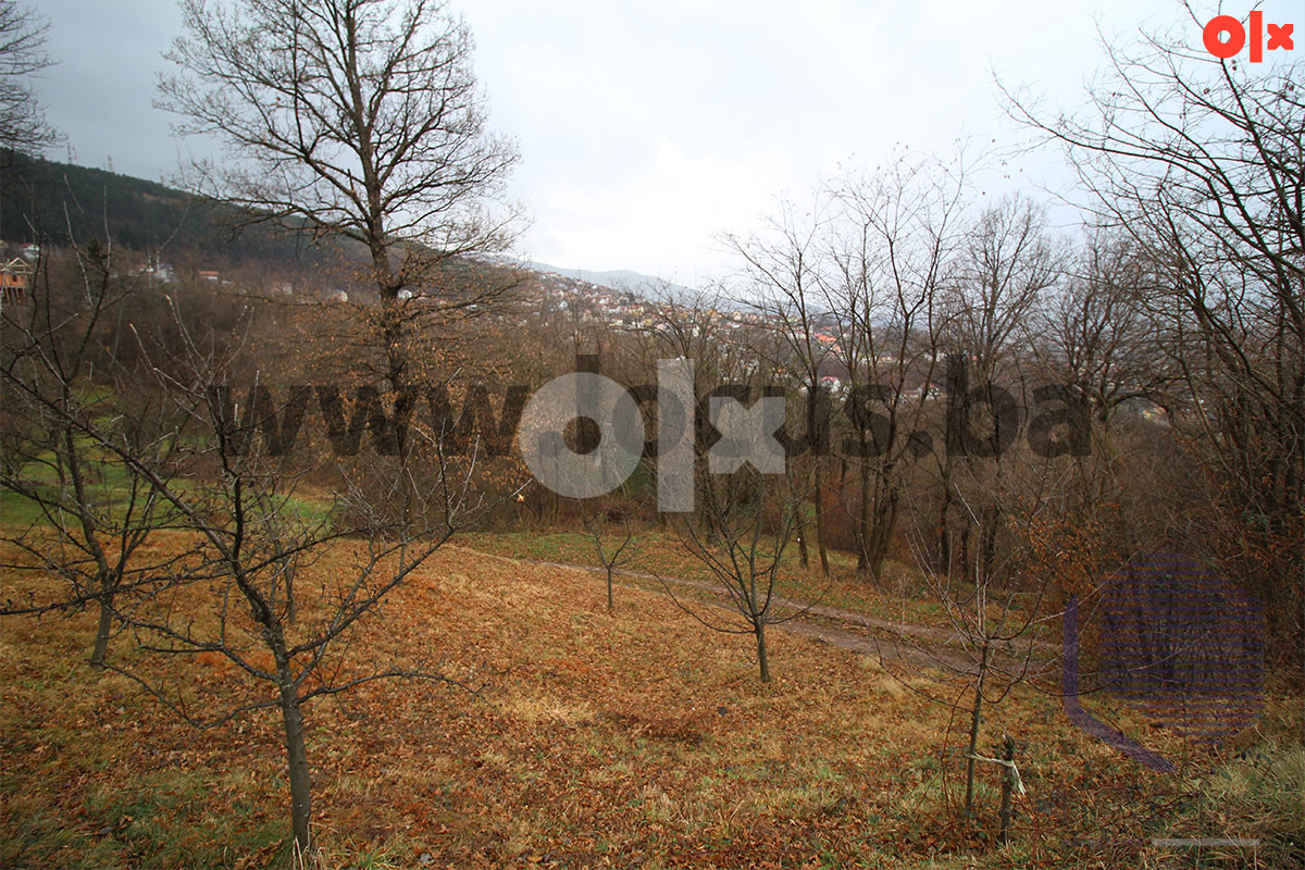 LOCUS: Zemljište 7.934m2, Pionirska dolina, Centar 2