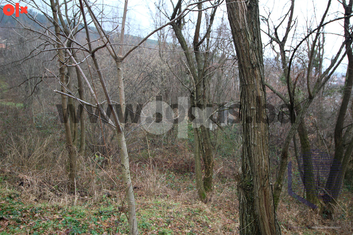 LOCUS: Zemljište 7.934m2, Pionirska dolina, Centar 3